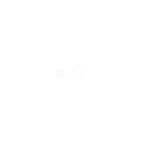logo MTI blanc